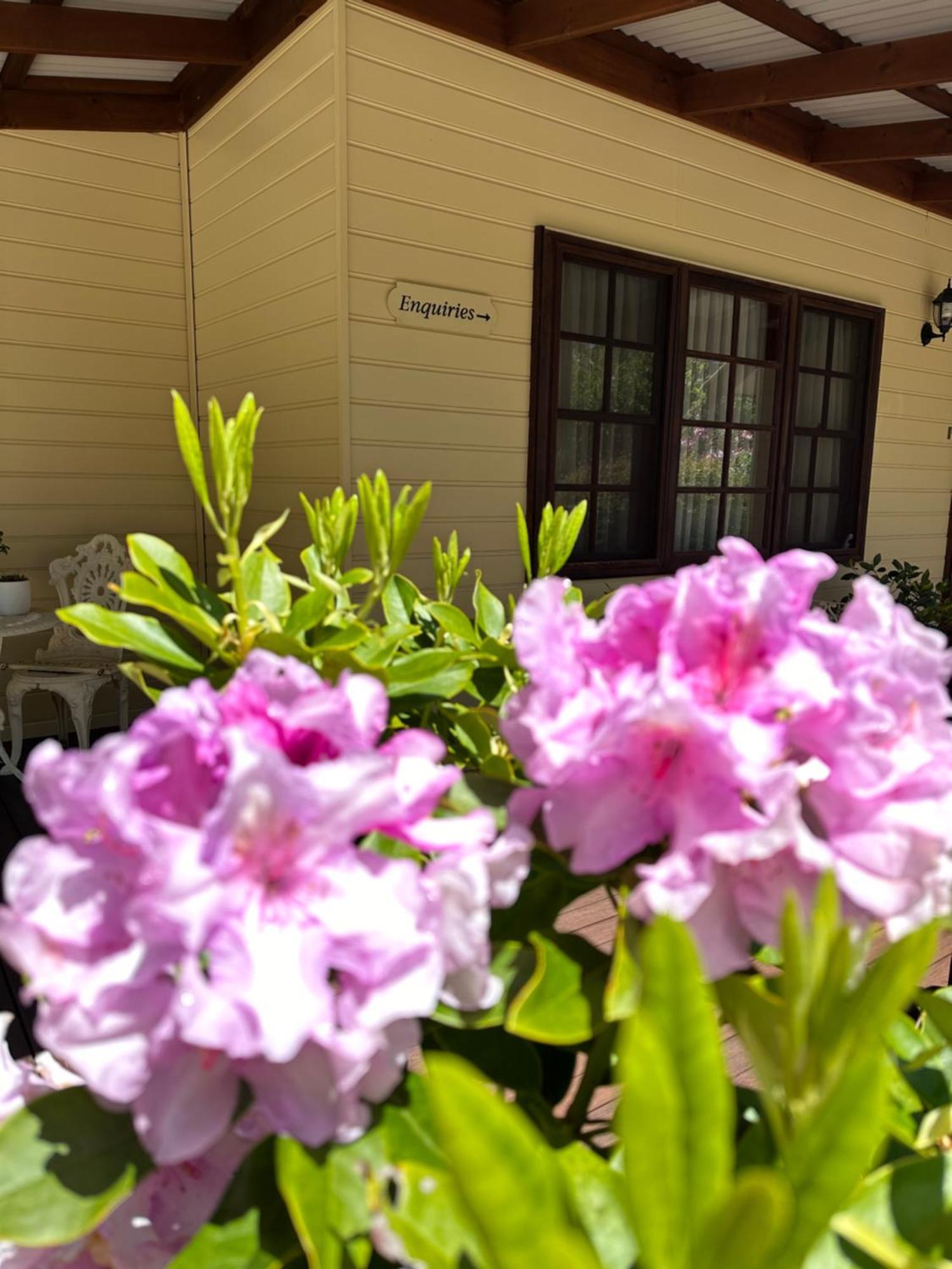 Valley Of The Waters B&B Уентуърт Фолс Екстериор снимка